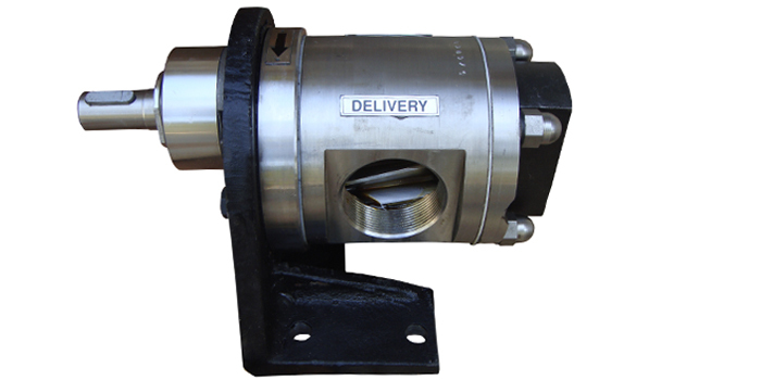 SS Rotary Gear Pump