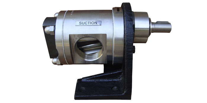 SS Rotary Gear Pump