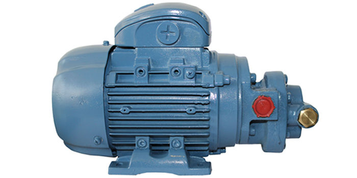 Pre-Lubrication Motorised Rotary Gear Pump