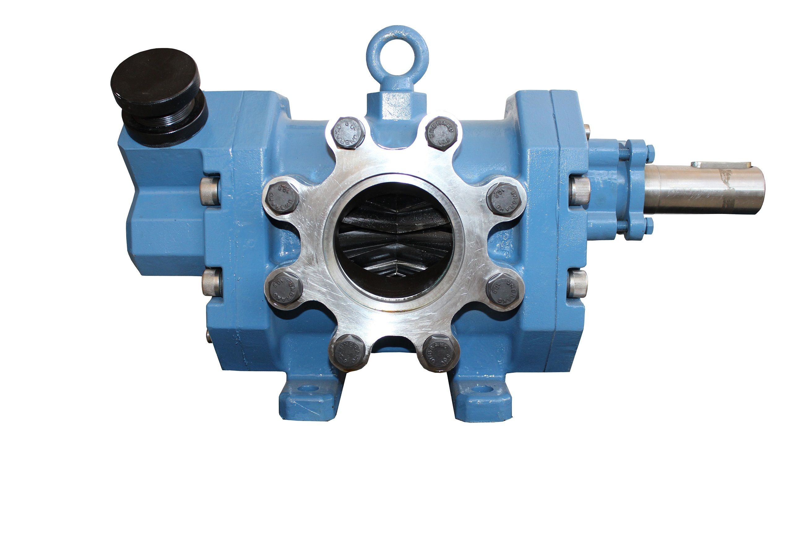 Rotary Gear Pump