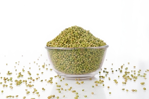 Coriander Seeds Single Parrot Quality Wholesale