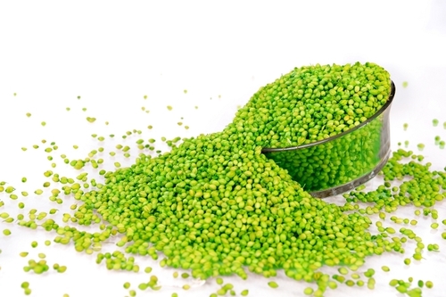 Double Parrot Coriander Seeds Suppliers