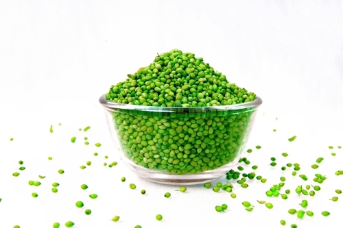 Big Grain Double a Parrot Coriander Seeds