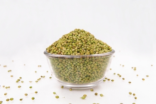 Big Grain single parrot seeds Manufacturer