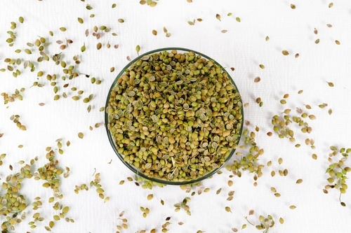 Single Parrot Quality Coriander Seeds - Green Spices Seeds, 96% Purity, 0.5% Admixture, 2% Ash, 10% Moisture, 1 Year Shelf Life