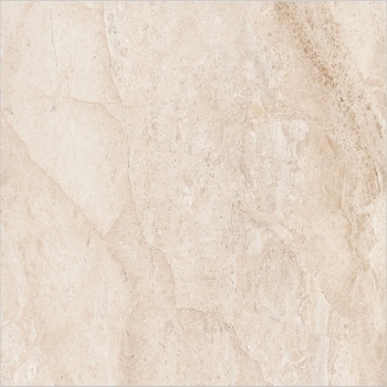 Platinum Glazed Vitrified Tiles