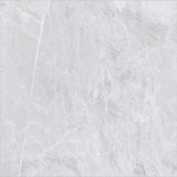 Browns / Tans Tracks Plata Polished Glazed Vitrified Tiles