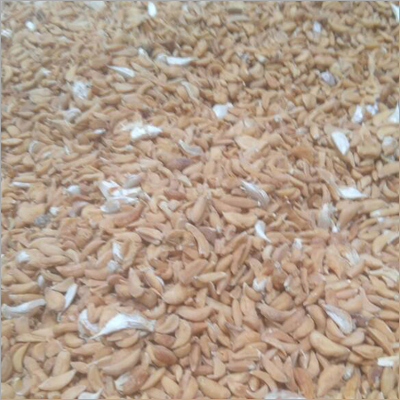 Fresh Dehydrated Garlic