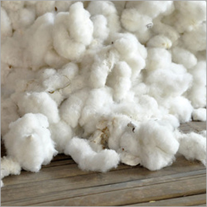 Raw Cotton Waste