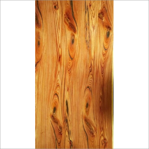 Vintage ELM Plywood