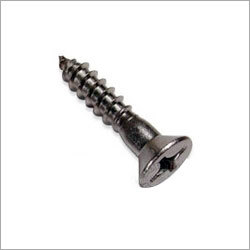 Polished Stainless Steel Screw