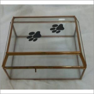 Glass Box