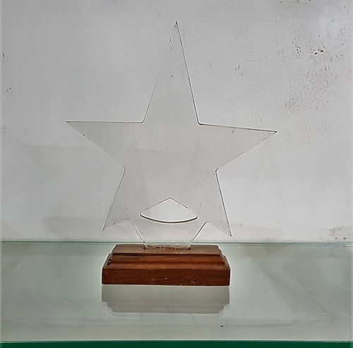 Customized Acrylic Trophy