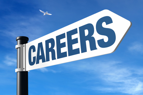 Career Career