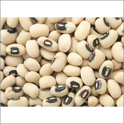 Cow Pea (Lobia)