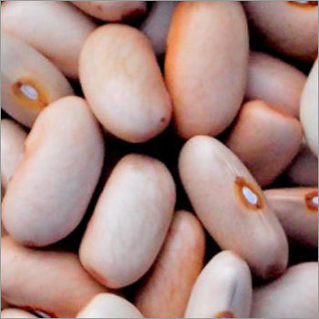Kidney Bean (Munsyari)