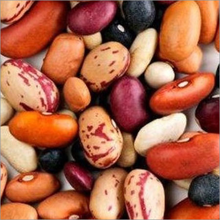 Kidney Bean (Mix)