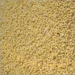 Barnyard Millet (Jhangora)