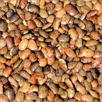 Horse Gram (Gahat)