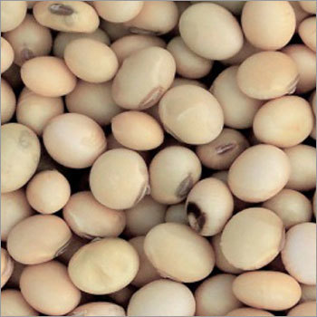 Organic Soyabean