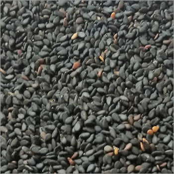 Sesame (Til)-Black