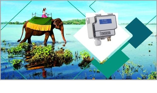 Sensocon USA Differential Pressure Transmitter Series DPT1-R8 - Range  0 - 0.25  mbar