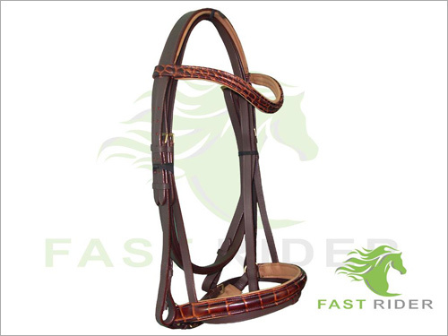 Leather Bridle
