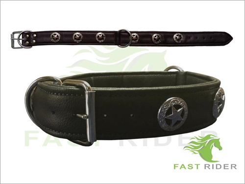 Leather Dog Collar
