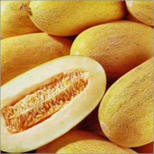 Yellow Melon Seeds