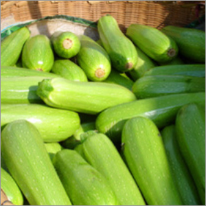 Hybrid Squash Seeds