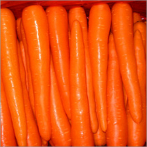 Hybrid Carrot Seeds
