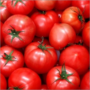 Red Hybrid Tomato Seeds
