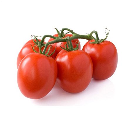 Tomato Seeds