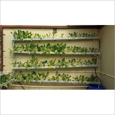 Hydroponics NFT System