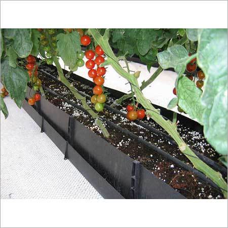 Hydroponics Troughs System
