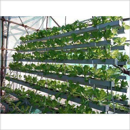 Commercial Hydroponics NFT System