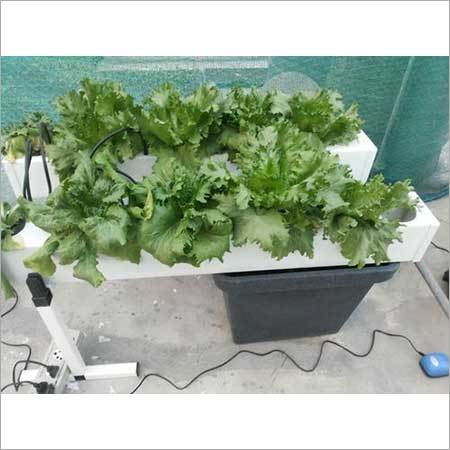 Hydroponics System For Hobby