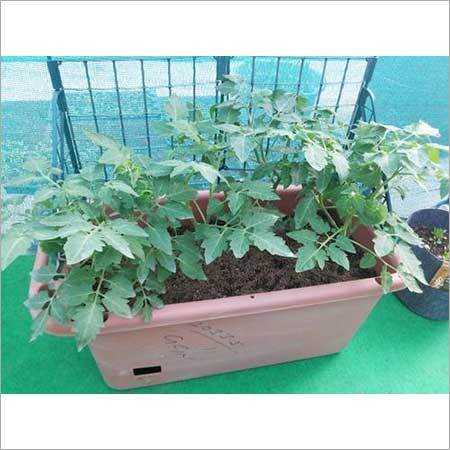 Hydroponics Hobby System