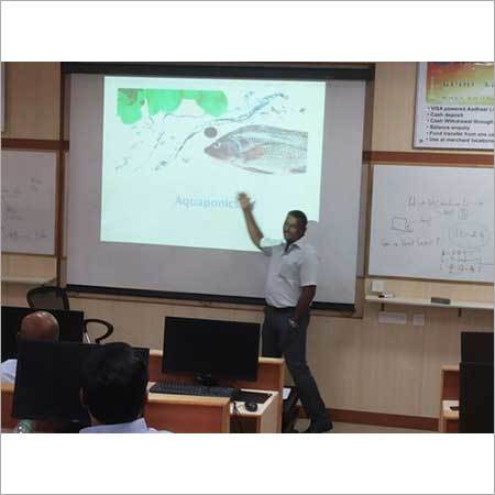 Corporate Training - Hydroponics & Aquaponics