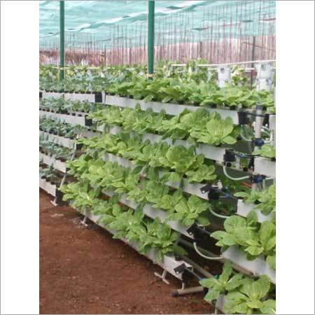 Vertical Farming