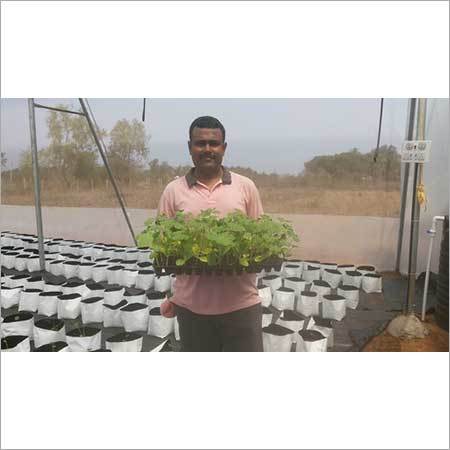 Agro Farming Services By TECHXELLANCE SOLUTIONS PRIVATE LIMITED