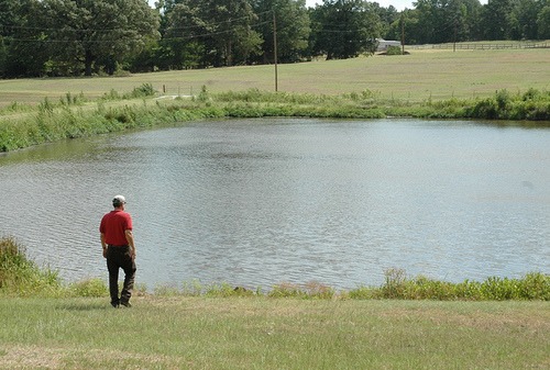 Farm Pond By FAIRDEAL ENTERPRISES