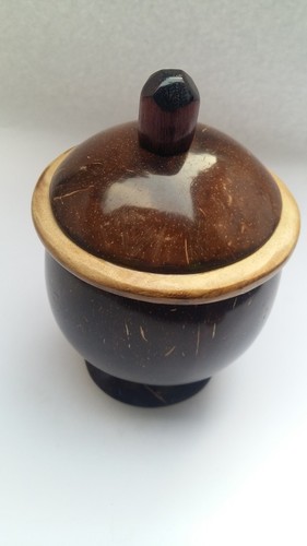 ECO FRIENDLY HANDMADE NATURAL COCONUT SHELL PICKLE/SALT POT WITH CAP & NATURAL COLOR - SMALL