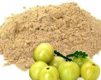 Amla Powder