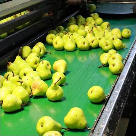 Fresh Pear