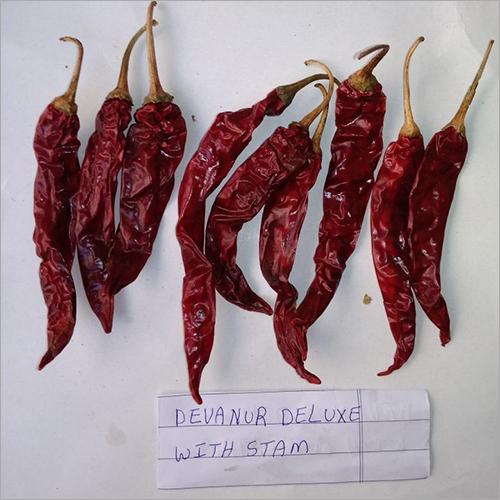Wrinkle Red Chilli