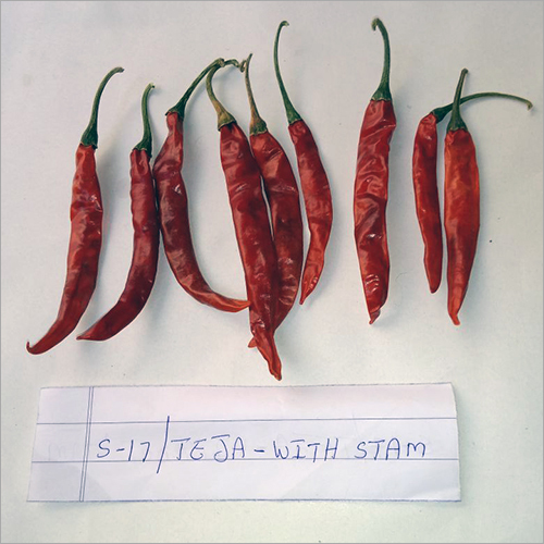 Teja Chilli