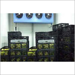 Fruit Ripening Chamber