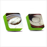 Curd Culture - Color: White