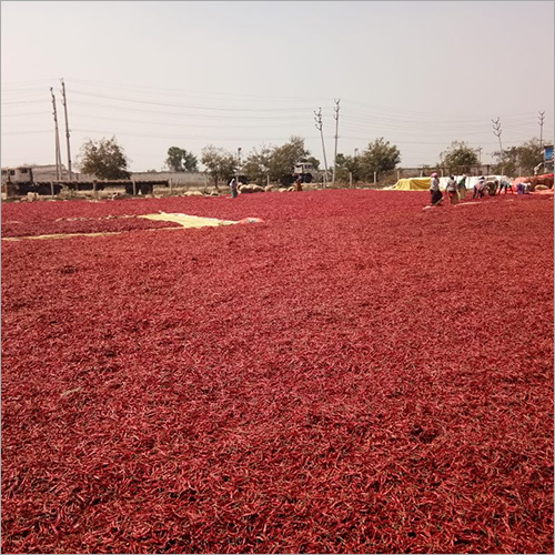 Red Chillies